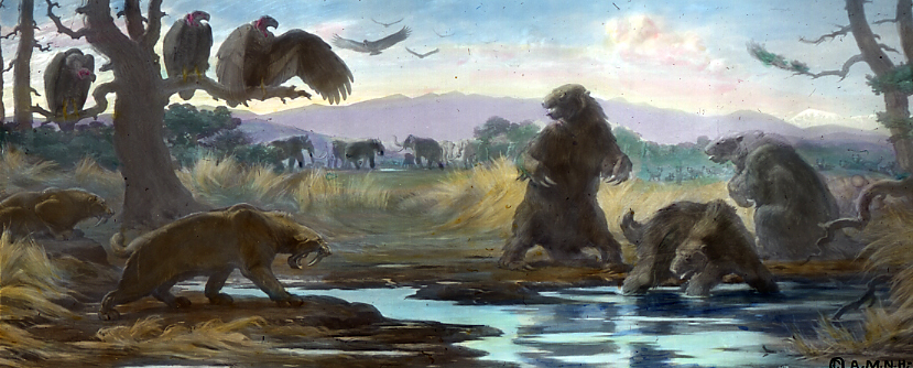 La Brea Tar Pit Los Angeles